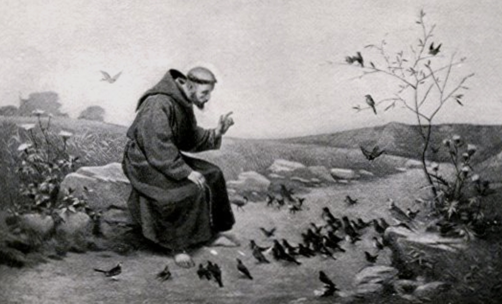Franciscan Wisdom — Streams of Ancient Wisdom